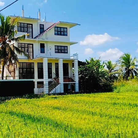 Freedom Of Green Rice View 阿努拉德普勒 外观 照片