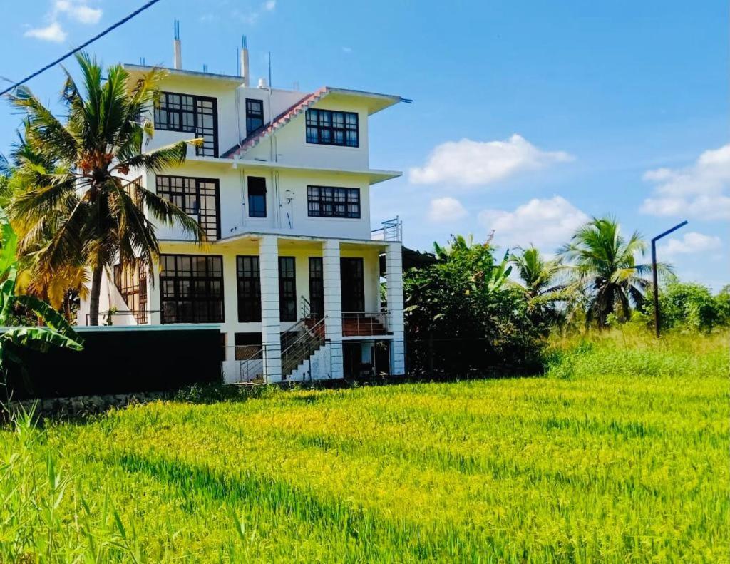 Freedom Of Green Rice View 阿努拉德普勒 外观 照片