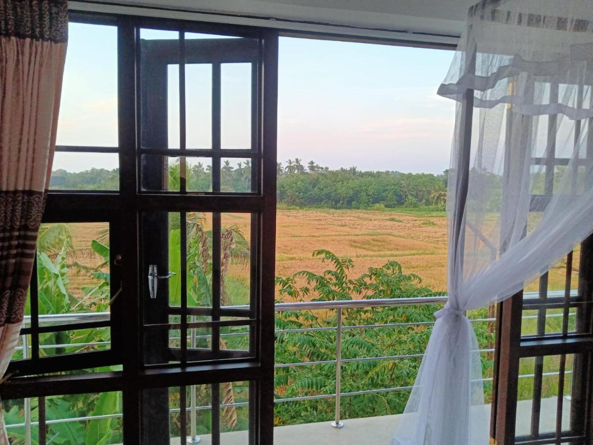 Freedom Of Green Rice View 阿努拉德普勒 外观 照片