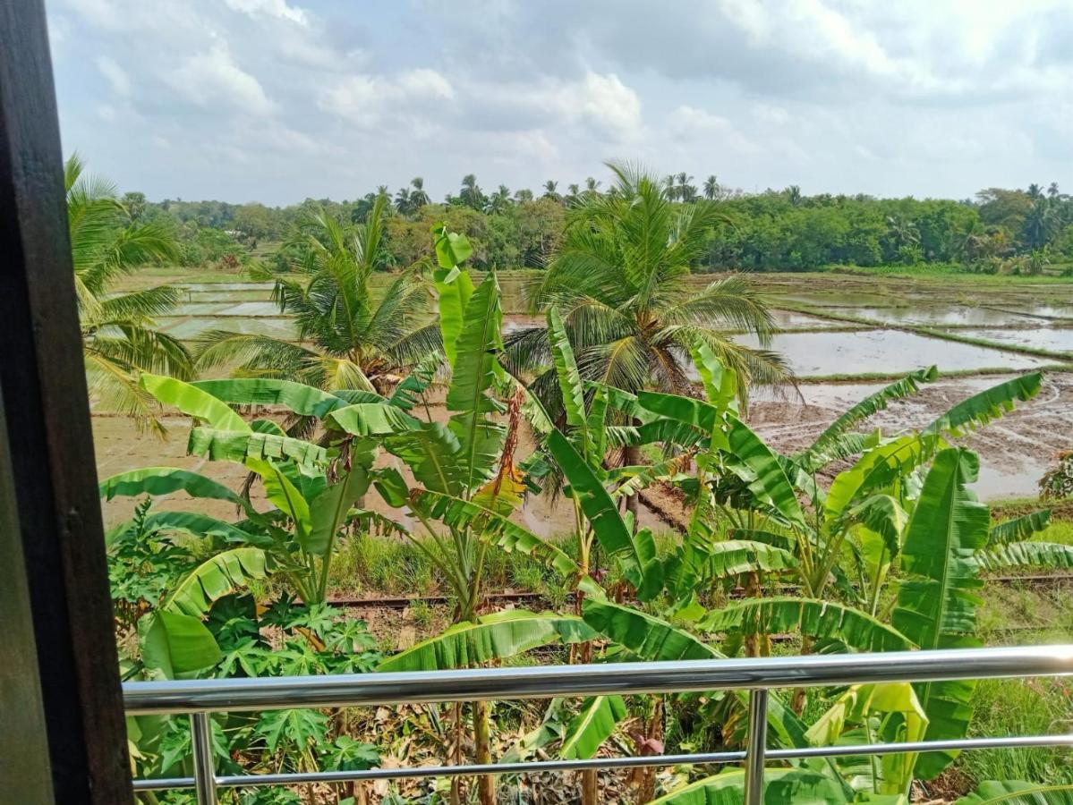 Freedom Of Green Rice View 阿努拉德普勒 外观 照片