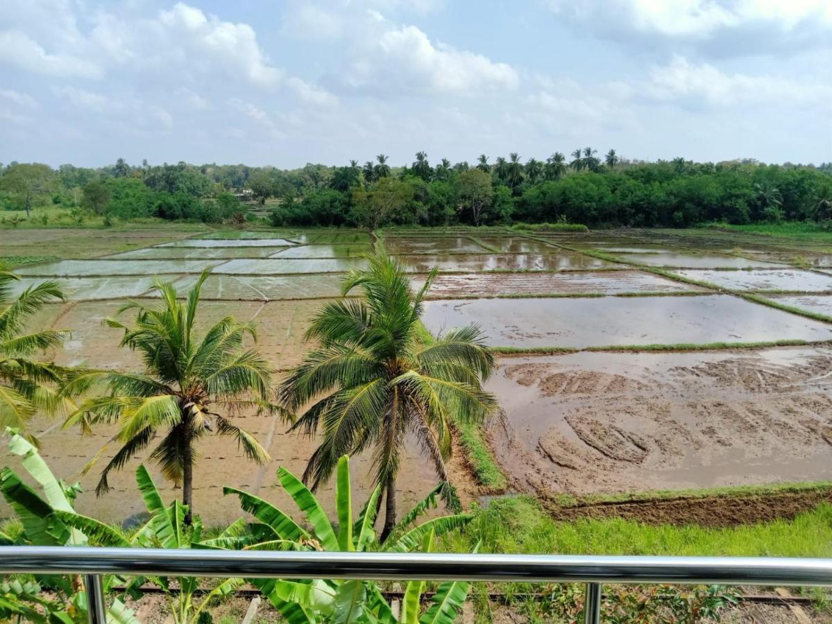 Freedom Of Green Rice View 阿努拉德普勒 外观 照片