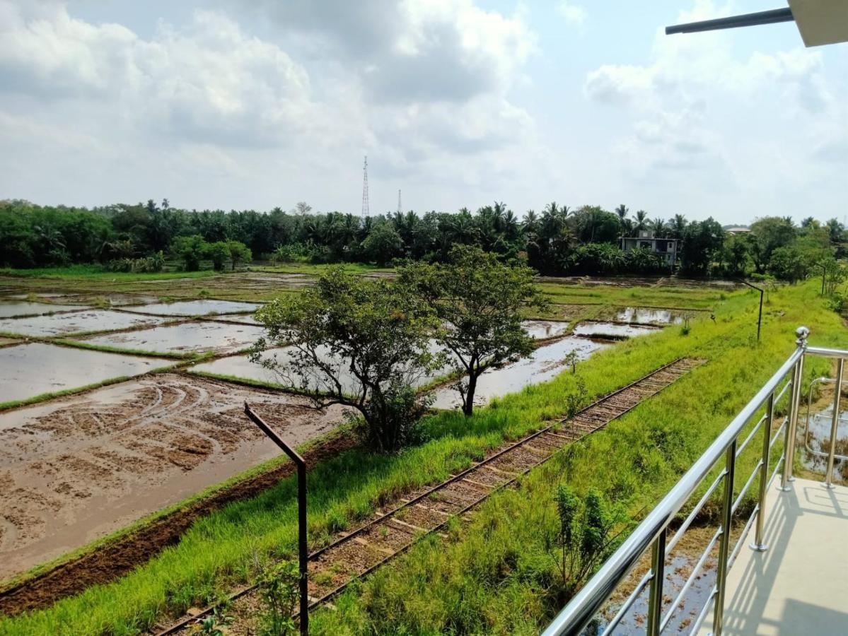 Freedom Of Green Rice View 阿努拉德普勒 外观 照片
