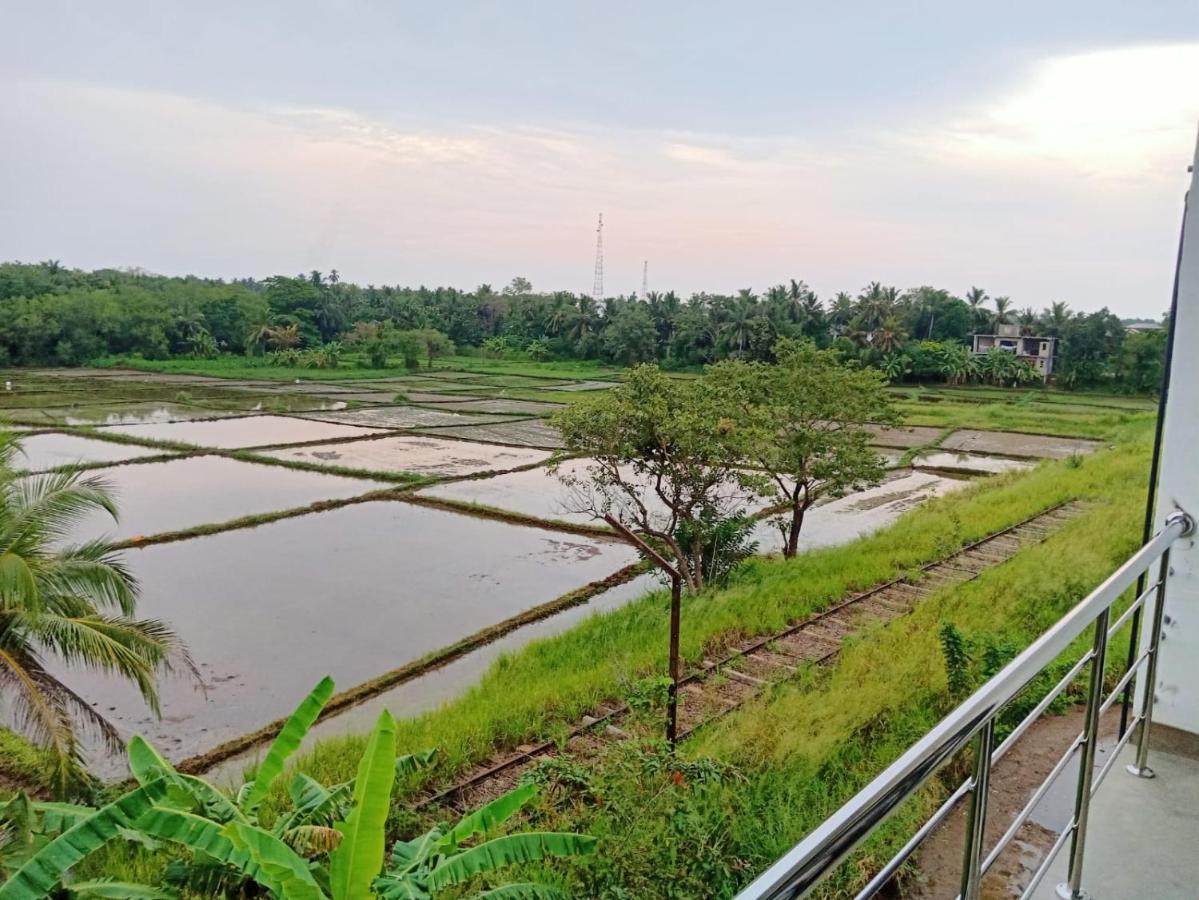 Freedom Of Green Rice View 阿努拉德普勒 外观 照片