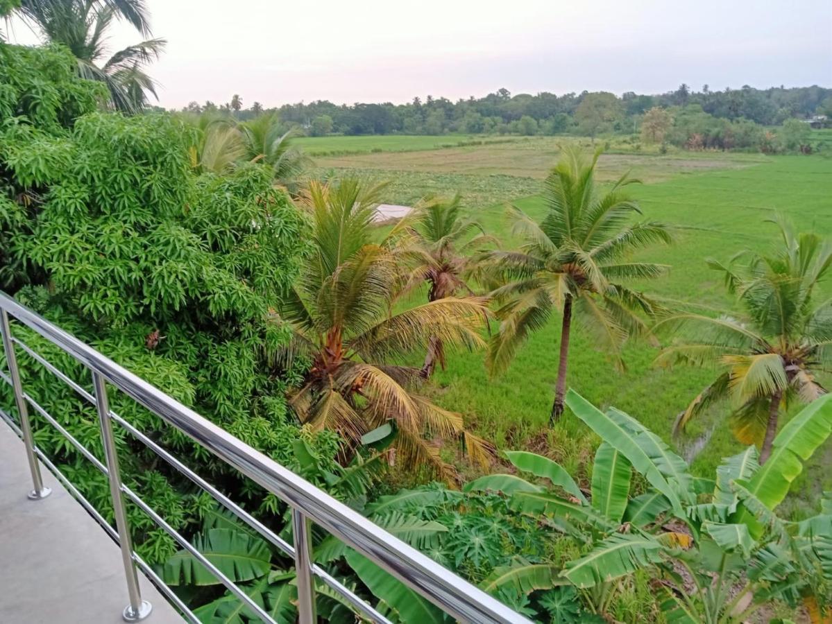 Freedom Of Green Rice View 阿努拉德普勒 外观 照片