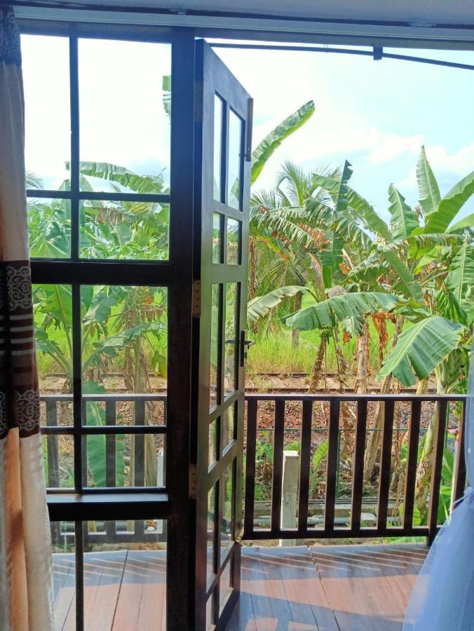Freedom Of Green Rice View 阿努拉德普勒 外观 照片